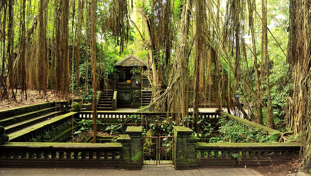 Monkey Forest Ubud - Wisata Bali Transport