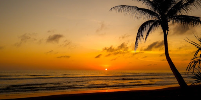 The Natural Beauty of Tabanan Pasut Beach