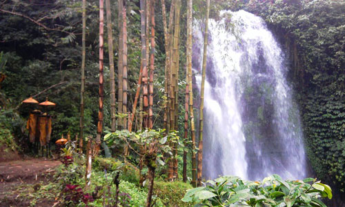 Natural Waterfall, Munduk Buleleng