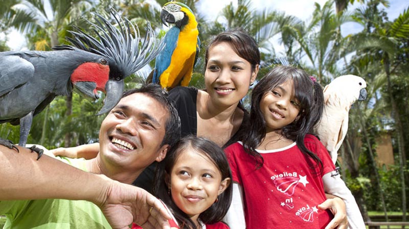 The Educational Animal Parks In Bali