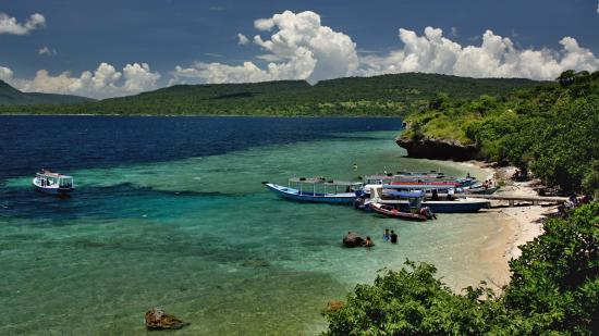 The Interesting Things About The Coral Garden Menjangan