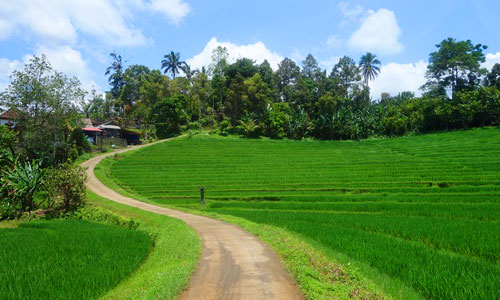 Popularity of Sing Sing Angin Waterfall Attractions