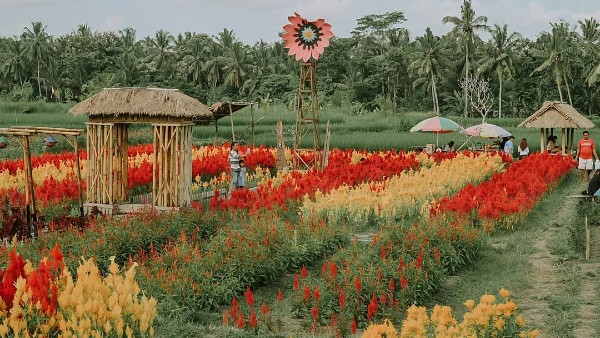 Belayu Tabanan Florist