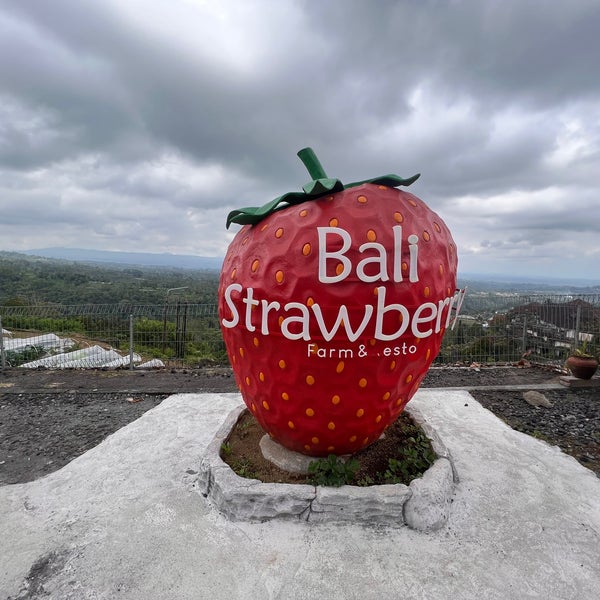 Tourist Interest in Strawberry Farm & Bali Restaurant