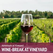 Fun Vacation Activities at Hatten Wines Vineyard