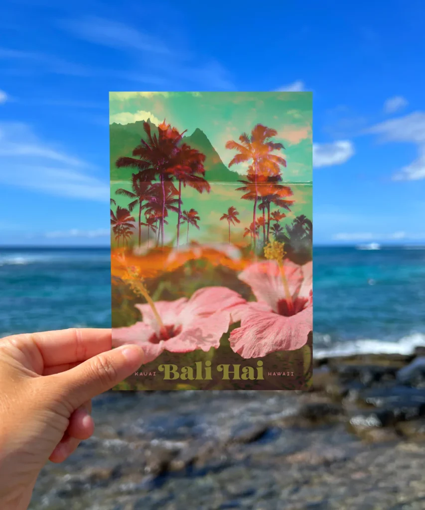 The Best Products Provided at Hawaii Bali Shop