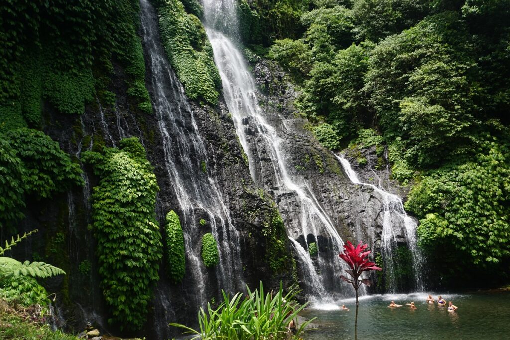 The Uniqueness of Banyumala Twin Waterfall