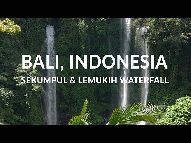 Lemukih Waterfall in Bali